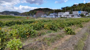 Countryside Nature 北宝塚（西谷）実行委員会に投稿された画像（2023/10/28）