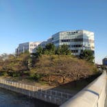 横浜みなとみらい 万葉倶楽部に投稿された画像（2023/10/28）