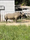 名古屋市東山動植物園に投稿された画像（2023/10/28）