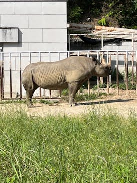 名古屋市東山動植物園に投稿された画像（2023/10/28）