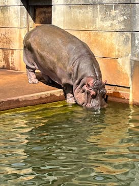 名古屋市東山動植物園に投稿された画像（2023/10/28）