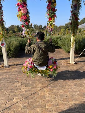 京成バラ園に投稿された画像（2023/10/28）