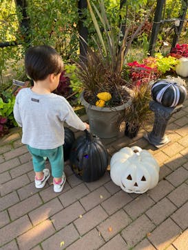 横浜イングリッシュガーデンに投稿された画像（2023/10/28）