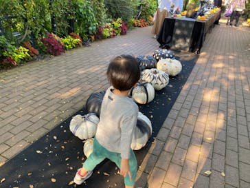 横浜イングリッシュガーデンに投稿された画像（2023/10/28）