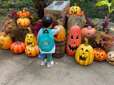 横浜イングリッシュガーデンに投稿された画像（2023/10/28）