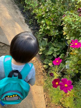 横浜イングリッシュガーデンに投稿された画像（2023/10/28）