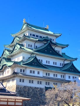 名古屋城に投稿された画像（2023/10/28）