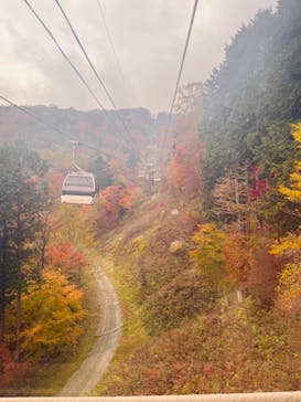 マウントジーンズ那須に投稿された画像（2023/10/28）