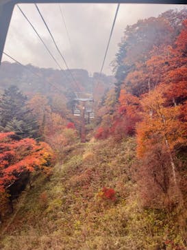 マウントジーンズ那須に投稿された画像（2023/10/28）