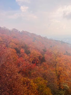 マウントジーンズ那須に投稿された画像（2023/10/28）