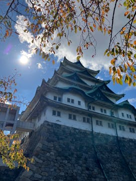 名古屋城に投稿された画像（2023/10/28）