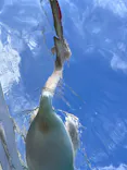 サンシャイン水族館に投稿された画像（2023/10/28）