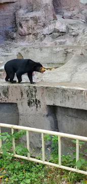 天王寺動物園に投稿された画像（2023/10/28）