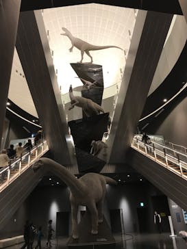 福井県立恐竜博物館に投稿された画像（2023/10/28）