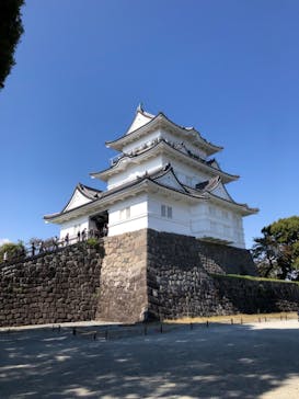 小田原城に投稿された画像（2023/10/28）