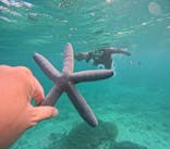 青の洞窟専門店　沖縄ダイビングショップ和に投稿された画像（2023/10/28）