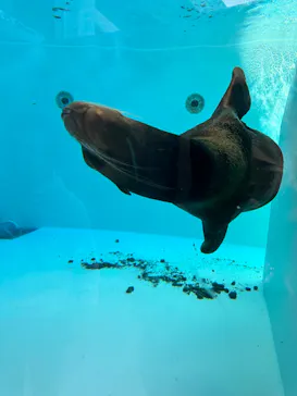 天王寺動物園に投稿された画像（2023/10/28）