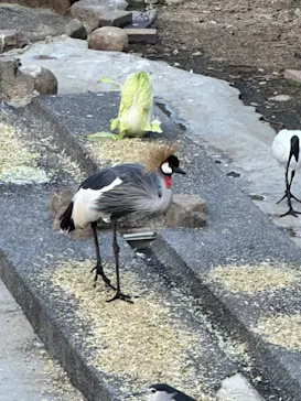 天王寺動物園に投稿された画像（2023/10/28）