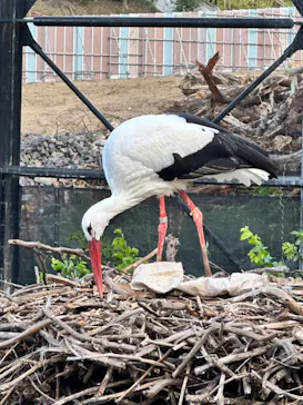 天王寺動物園に投稿された画像（2023/10/28）