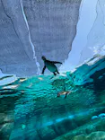 天王寺動物園に投稿された画像（2023/10/28）