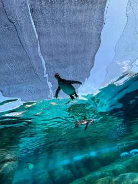 天王寺動物園に投稿された画像（2023/10/28）