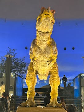 福井県立恐竜博物館に投稿された画像（2023/10/28）