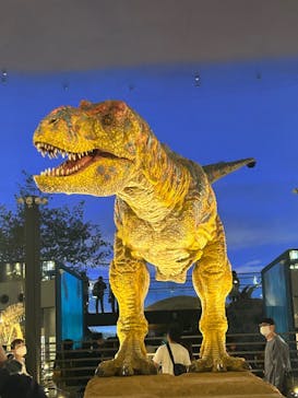 福井県立恐竜博物館に投稿された画像（2023/10/28）