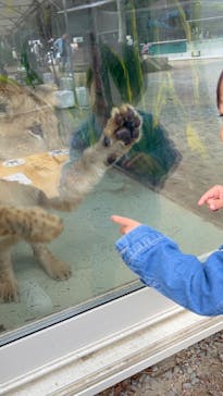 しろとり動物園に投稿された画像（2023/10/28）