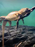 サンシャイン水族館に投稿された画像（2023/10/28）