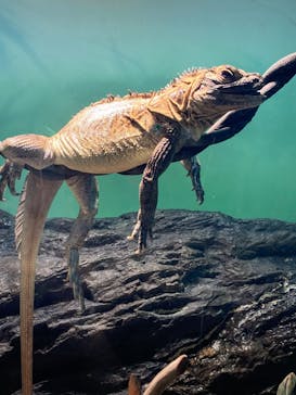 サンシャイン水族館に投稿された画像（2023/10/28）