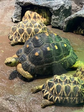 サンシャイン水族館に投稿された画像（2023/10/28）