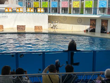 伊豆・三津シーパラダイスに投稿された画像（2023/10/28）