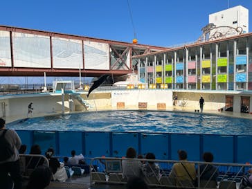 伊豆・三津シーパラダイスに投稿された画像（2023/10/28）