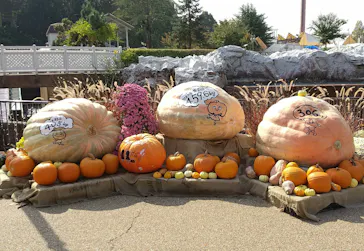 ひらかたパークに投稿された画像（2023/10/28）