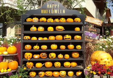 ひらかたパークに投稿された画像（2023/10/28）