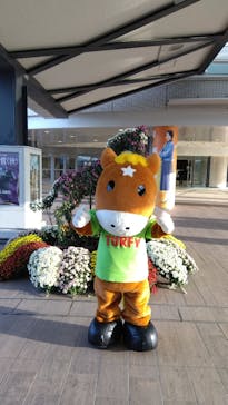 京阪電車に投稿された画像（2023/10/28）