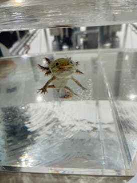 AOAO SAPPOROに投稿された画像（2023/10/28）