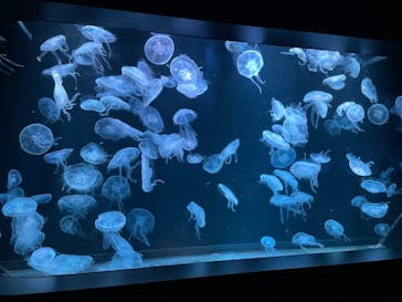 AOAO SAPPOROに投稿された画像（2023/10/28）