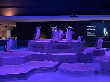 AOAO SAPPOROに投稿された画像（2023/10/28）