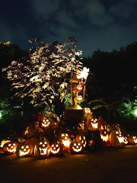 横浜イングリッシュガーデンに投稿された画像（2023/10/28）