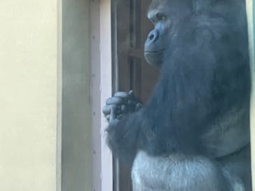 名古屋市東山動植物園に投稿された画像（2023/10/28）