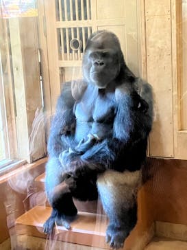 名古屋市東山動植物園に投稿された画像（2023/10/28）