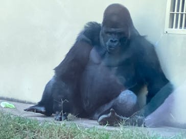 名古屋市東山動植物園に投稿された画像（2023/10/28）