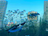 サンシャイン水族館に投稿された画像（2023/10/28）