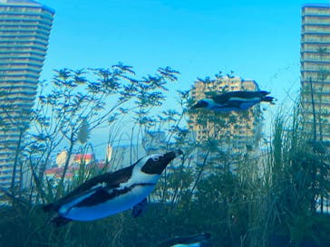 サンシャイン水族館に投稿された画像（2023/10/28）