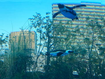 サンシャイン水族館に投稿された画像（2023/10/28）