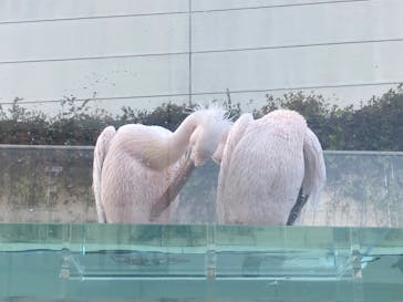 サンシャイン水族館に投稿された画像（2023/10/28）