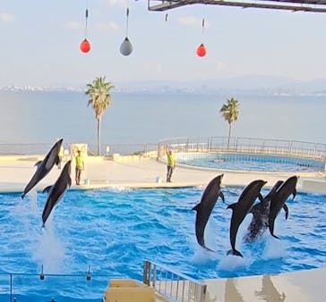 マリンワールド海の中道に投稿された画像（2023/10/28）