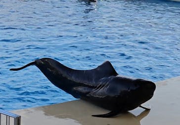 マリンワールド海の中道に投稿された画像（2023/10/28）