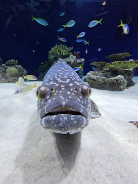 マリンワールド海の中道に投稿された画像（2023/10/28）